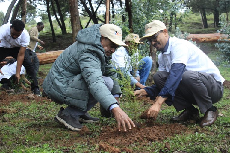 ቪዥንፈንድ ማይክሮፋይናንስ ከቪዥን ኮሚኒቲ ሆልሰቲክ ጋር በመሆን የችግኝ ተከላ መርሃ ግብር አካሄደ።